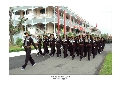 Thế hệ tiếp nối Củ Chi